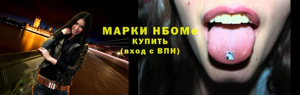 шишки Кодинск