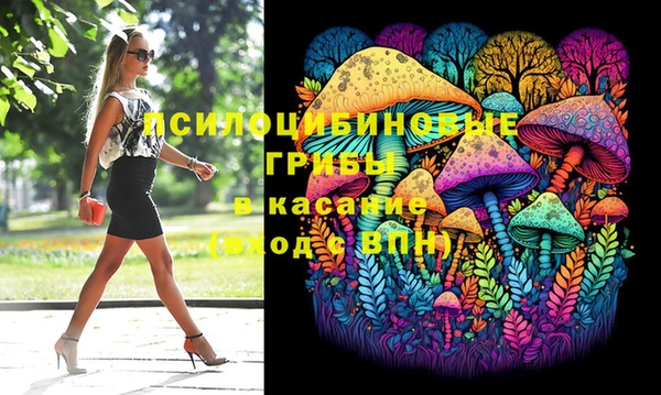 гидропоника Строитель