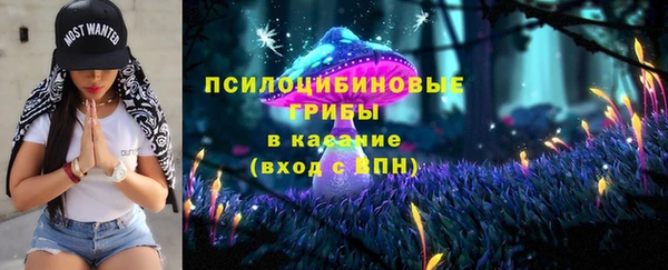 МДПВ Кинешма