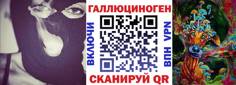 Купить  Зверево  Псилоцибиновые грибы Psilocybine cubensis 